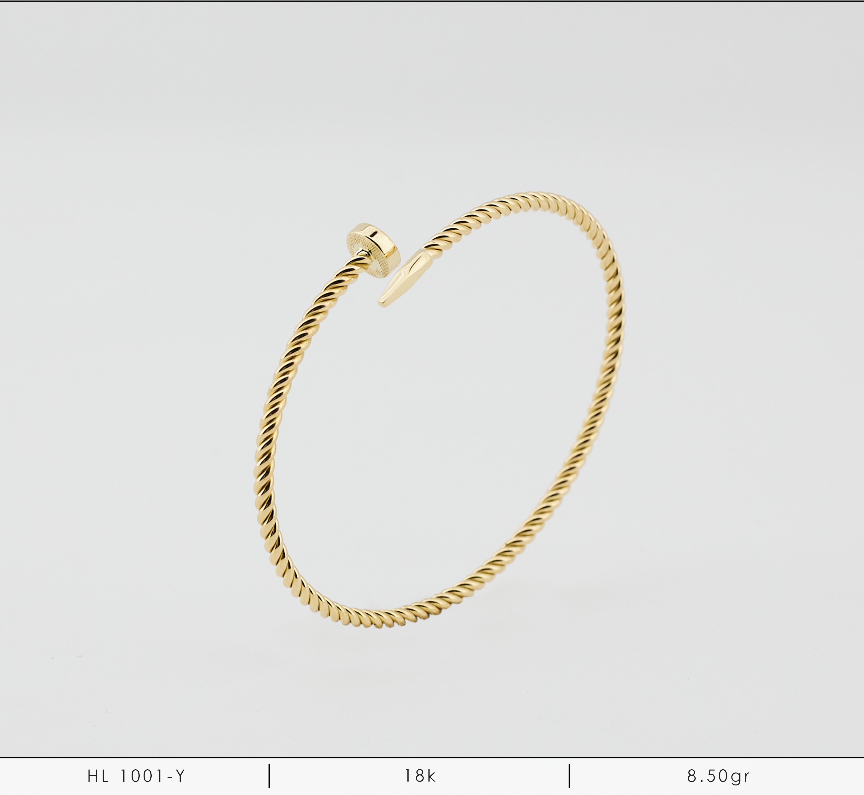 HL 1001-Y