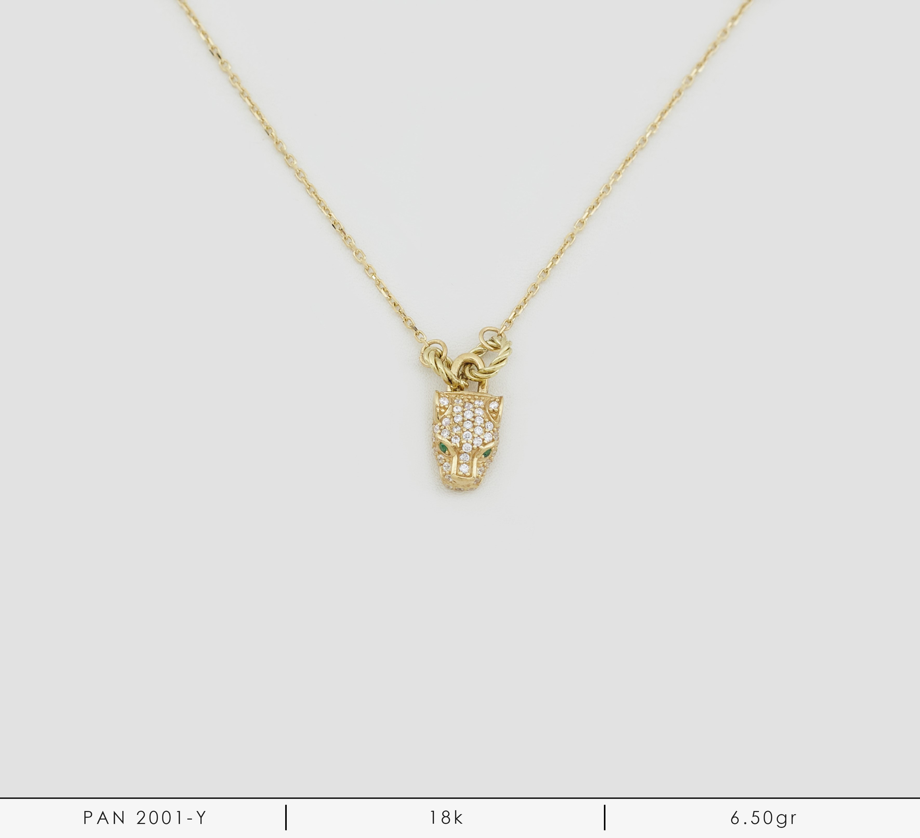 PAN 2001-Y