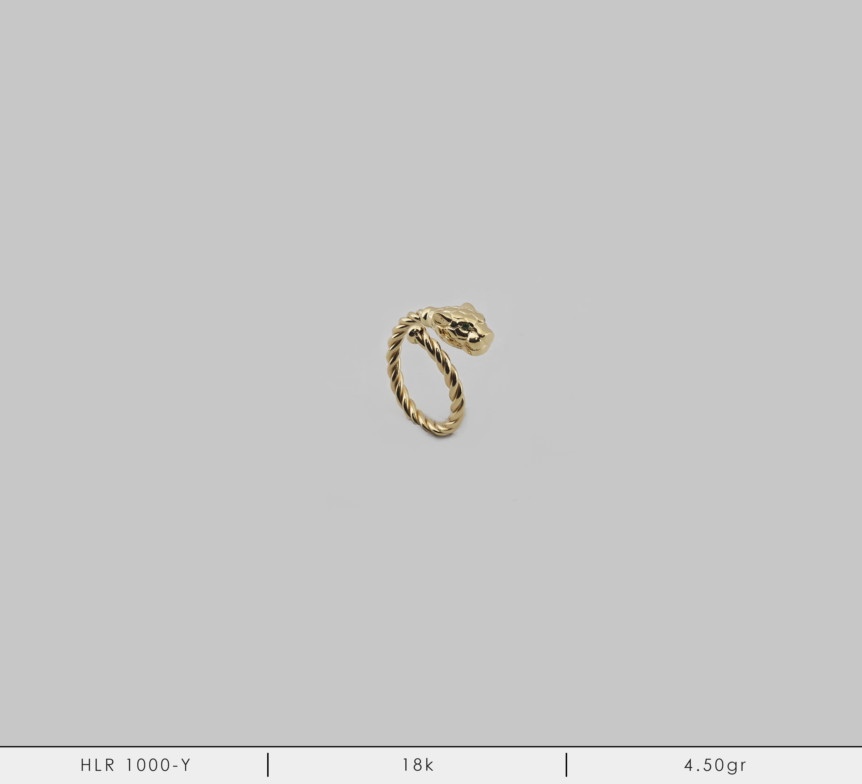 HLR 1000-Y