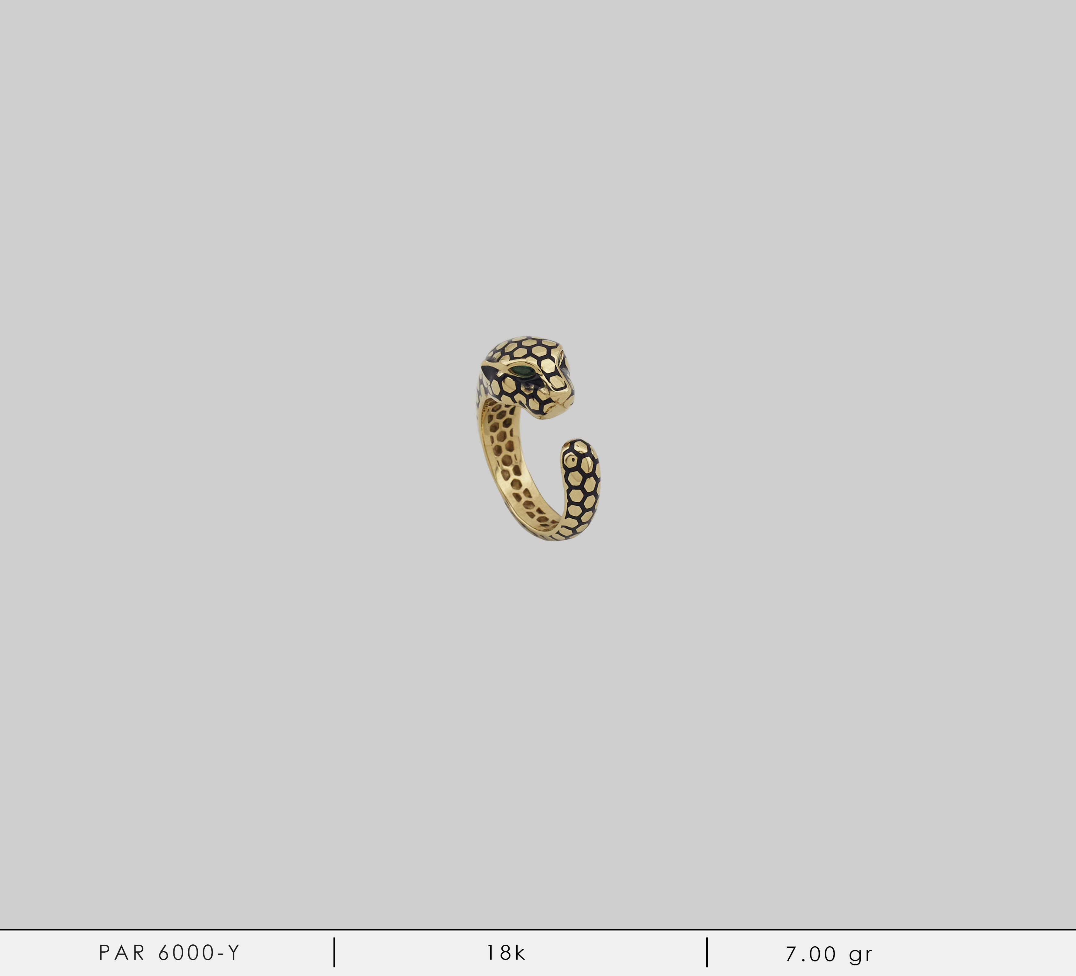 PAR 6000-Y