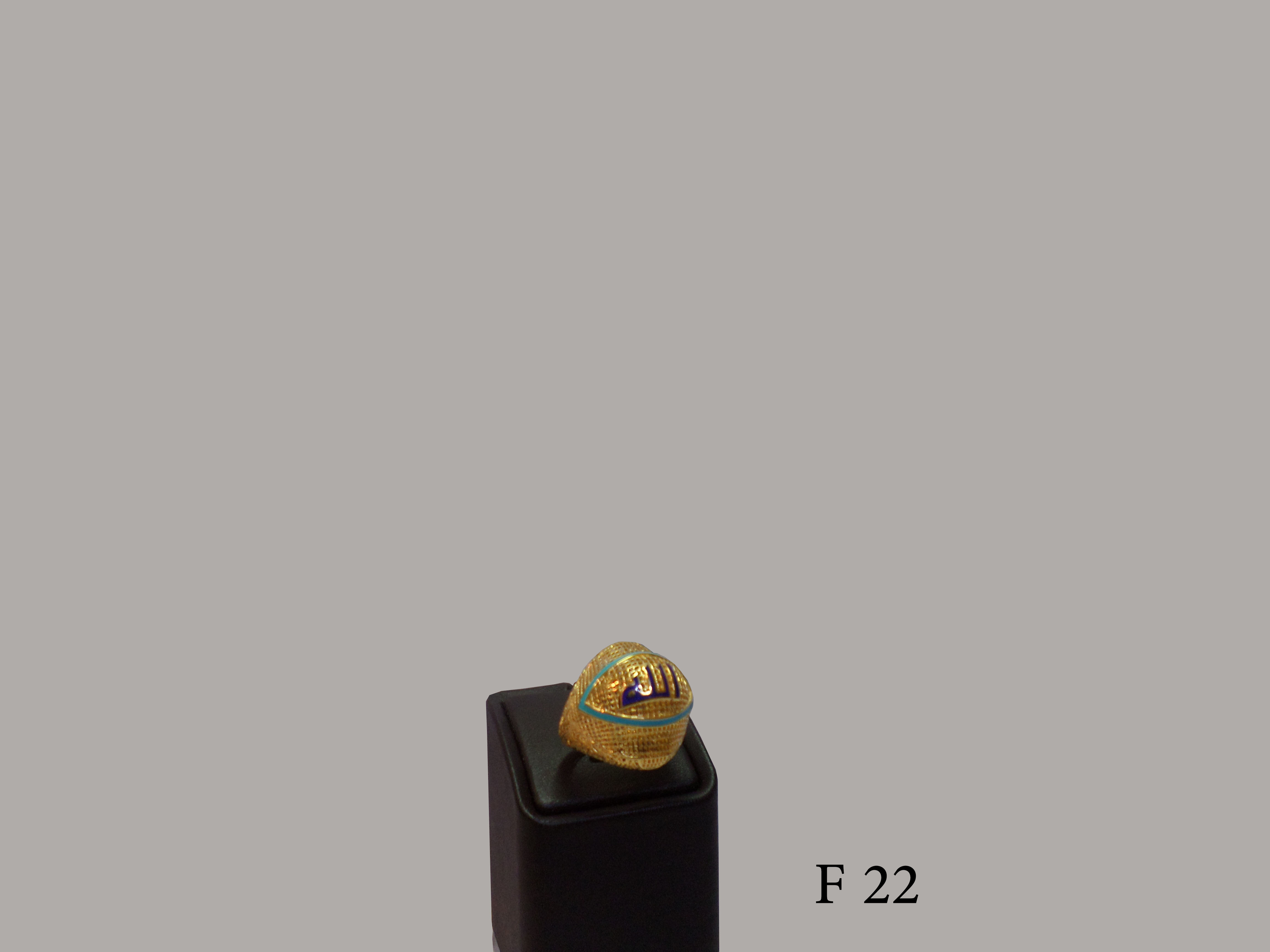 F 22