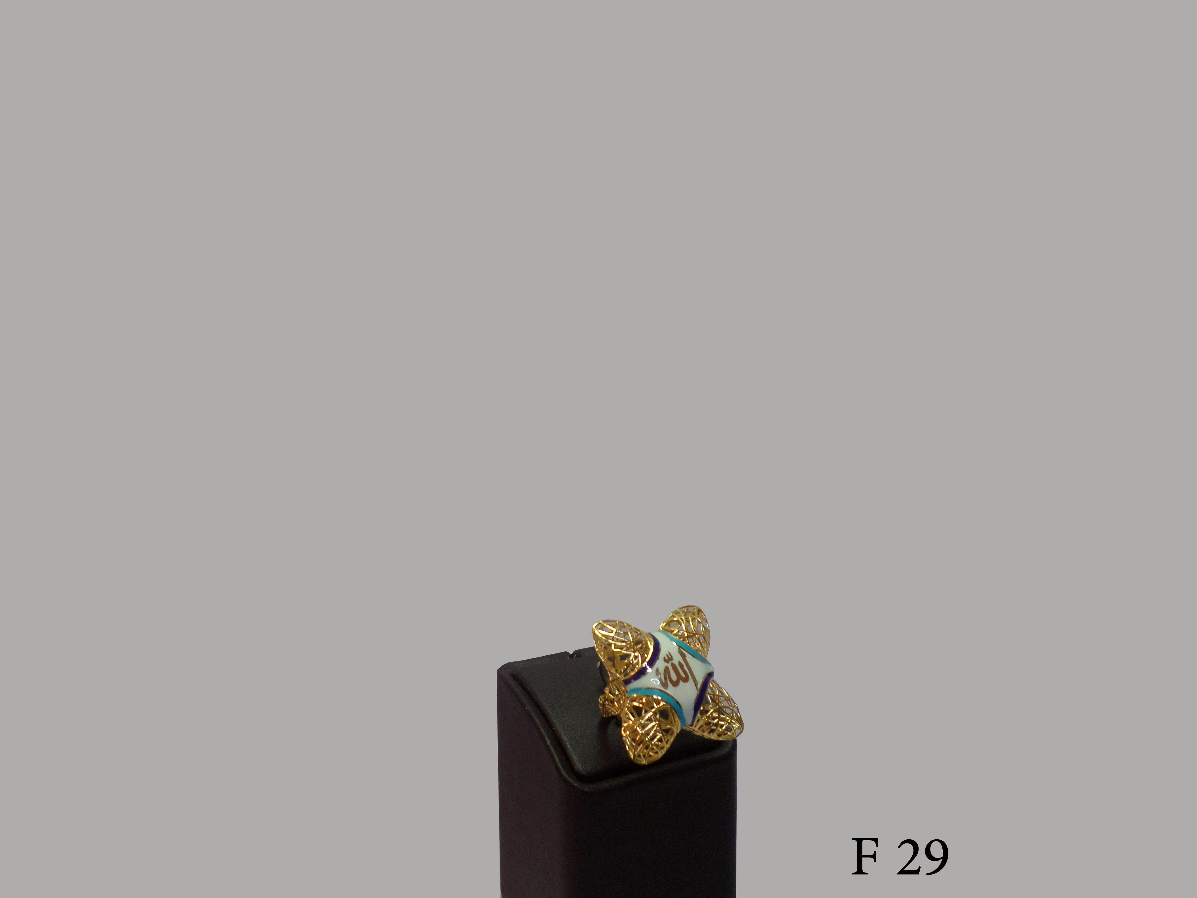F 29